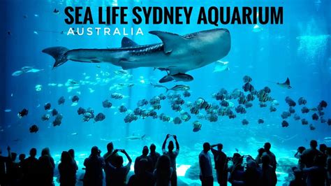 Sydney Aquarium