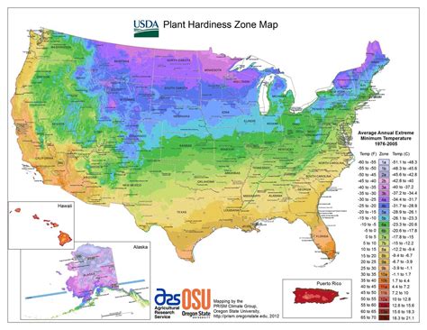 2023 USDA Plant Hardiness Zone Map places much of Ohio and the country ...