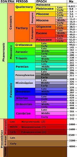 Geologic Column Definition, Formation & Examples | Study.com