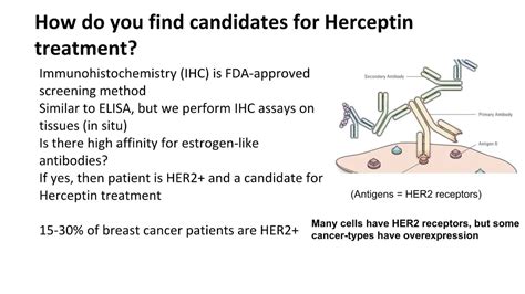 Herceptin (Trastuzumab) Side Effects and Screening - YouTube