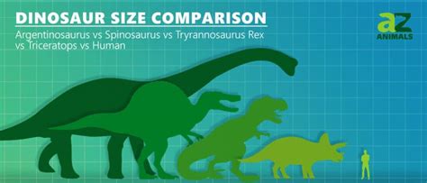 Meet the Largest Carnivorous Dinosaur in History (Bigger than a T-Rex ...