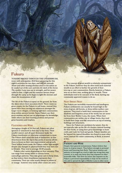 [OC][5e] A Homebrew Owl Race for 5e : DnD