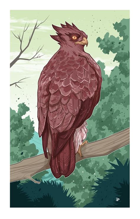 "Blood Hawk" from "The Deck of Many Beasts" trading cards game Hit ...