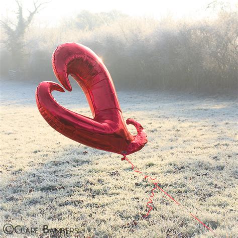 A Simple Photo of a Red Balloon – ESSENTIALS For Photographers