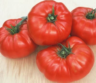 Beefsteak Tomato Health Benefits, Nutrition, Recipes, Substitutes