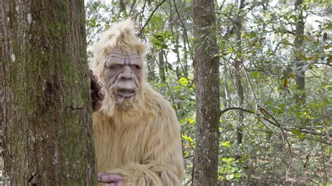 Cairns yowie hunters: Cannabullen Falls bigfoot encounter near Millaa ...