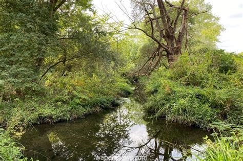 Morden Hall Park Walk - A Place to Enjoy the River Wandle