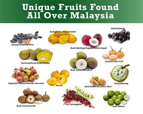 Malaysia Fruit Season Chart