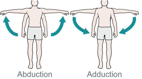 What is Abduction and Adduction? - YouTube