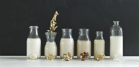 Which One Is The One? 5 Healthiest Milk Alternatives