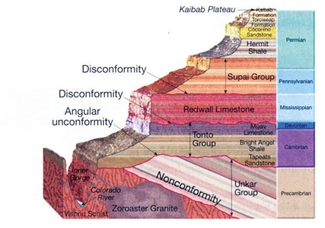 Geologic Column | Answers in Genesis