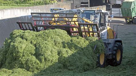 8 common mistakes to avoid at silage harvest - Farmers Weekly