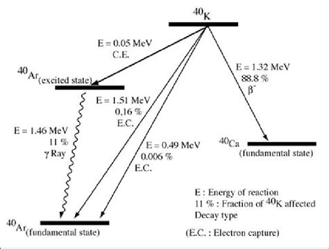 Decay scheme of Potassium 40. | Download Scientific Diagram