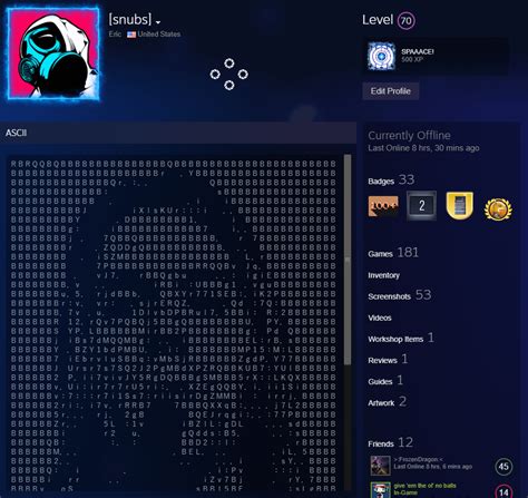 How to add ASCII art to custom info box on Steam : r/SteamArtworkProfiles