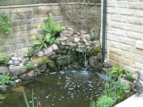 Turtle pond | Garden stream, Landscape, Turtle pond