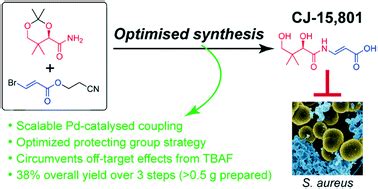 Overcoming synthetic challenges in targeting coenzyme A biosynthesis ...