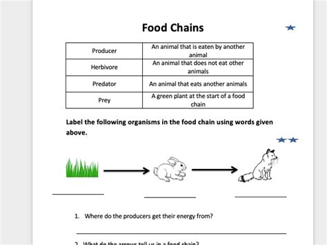 Primary Food Chain Worksheet | Teaching Resources