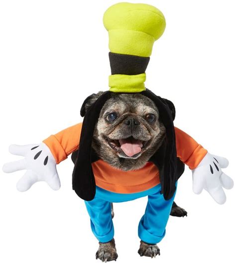 Rubie's Costume Company Walking Goofy Dog Costume, Medium - Chewy.com