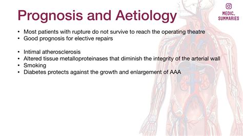 Vascular - Medic Summaries