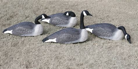 Goose Shell Decoys for sale | Only 4 left at -65%