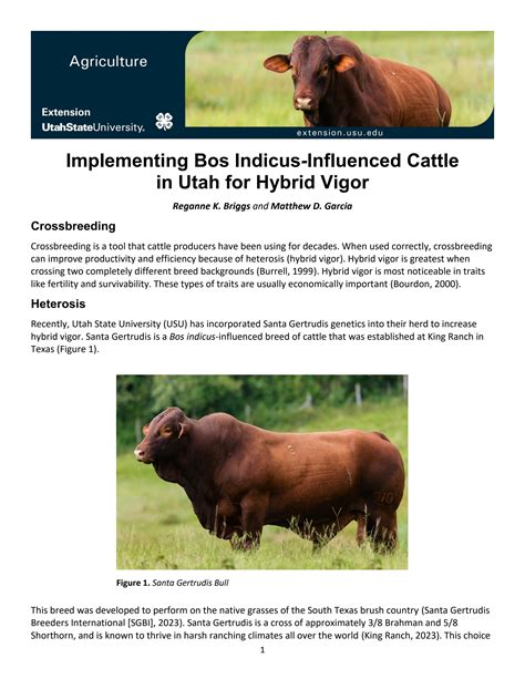 Implementing Bos Indicus-Influenced Cattle in Utah for Hybrid Vigor by ...