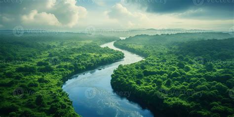 Generative AI, green beautiful amazonian jungle landscape with trees ...