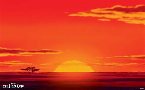 Lion King Disney, Lion King Sunset HD wallpaper | Pxfuel