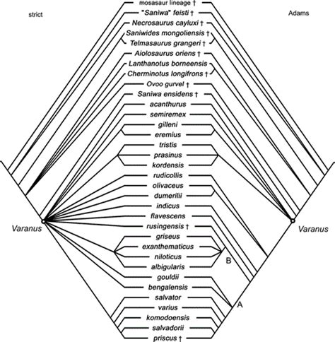 Re-assessment of varanid evolution based on new data from Saniwa ...