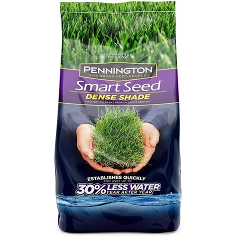 Best Grass Seed for Any Lawn | The Family Handyman