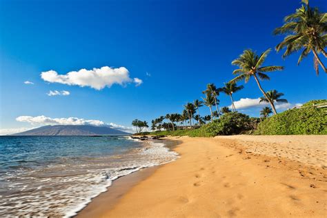 The 9 Best Maui Vacation Rentals of 2021