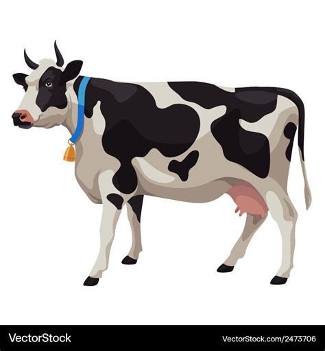 Black and white cow side view isolated Royalty Free Vector