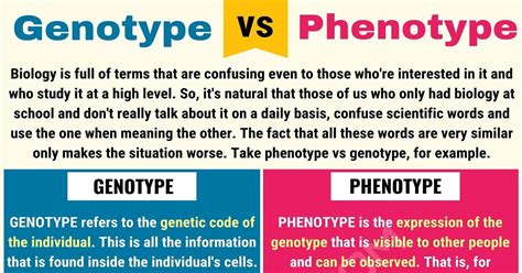 Genotype Vs Phenotype: Useful Difference Between Phenotype Vs Genotype ...