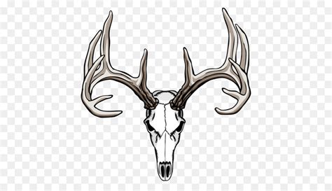 Free Deer Skull Silhouette, Download Free Deer Skull Silhouette png ...