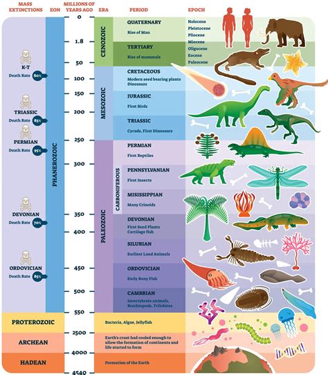 The Geologic Timescale: a system of dating based on the rock record