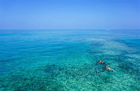 The Ultimate Florida Keys Snorkeling Guide: Expert Picks + Hidden Gems ...