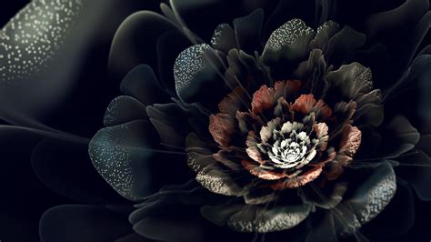 Flowers on Black Background Wallpaper (77+ images)