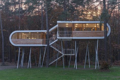 The Tree House / Baumraum | ArchDaily