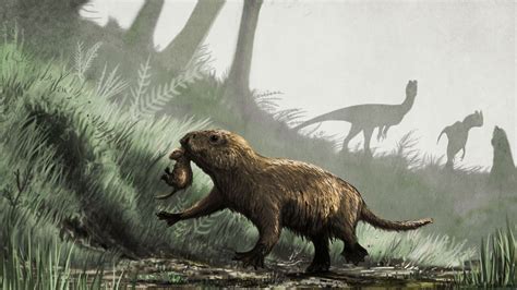 When dinosaurs went extinct, many animals literally came out of the ...