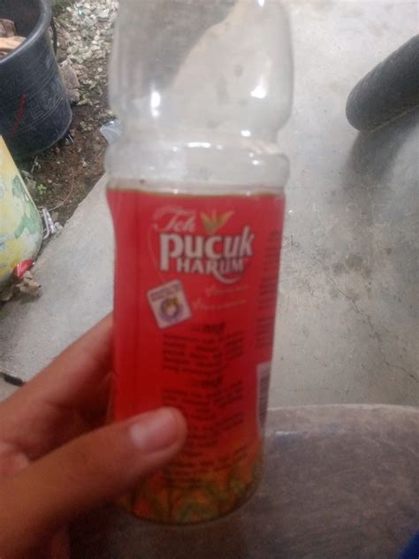 BOTOL teh pucuk, Looking For on Carousell