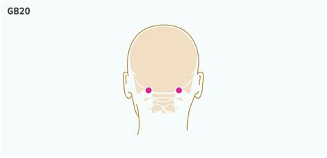 How to Use Pressure Points for Sinus Relief | Dr Farrah MD