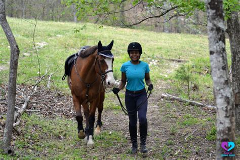 Horse Riding Equipment List: What You Need & What You Don’t - Horse Rookie