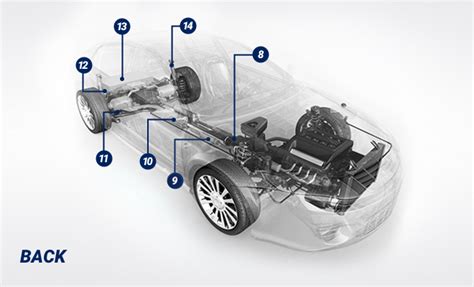 puppy Glorious Quadrant car body parts names diagram sew reader veteran