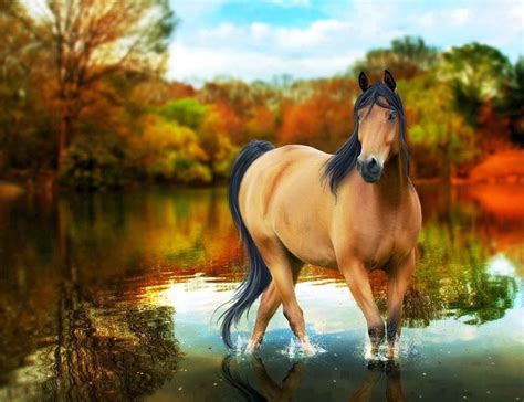 Free Horse Screensavers And Wallpapers - Wallpaper Cave