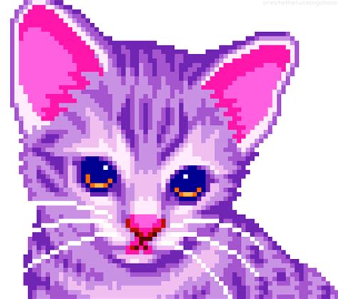 purple cat animals gif | WiffleGif