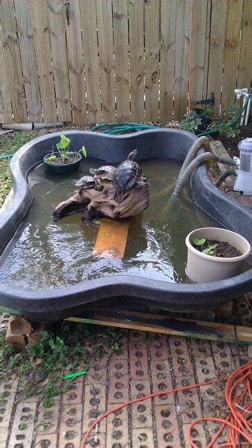 21 Backyard turtle pond ideas in 2021 | turtle pond, pond, backyard