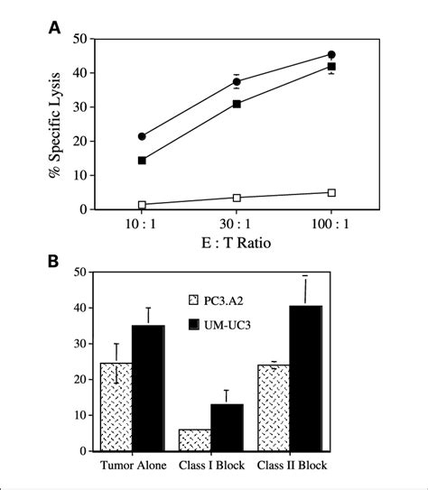 Specificity of CTL recognition and response to tumor targets. A , CTL ...