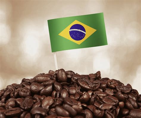 Coffee Culture in Brazil - Espresso Machine Addict