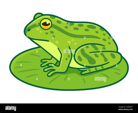 Realistic green frog drawing sitting on lily pad. Cartoon vector clip ...