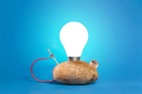 How to Make a Potato Battery | LoveToKnow