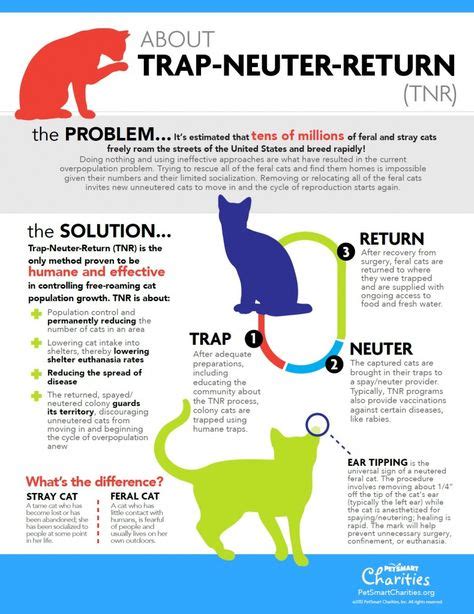 Great infographic about the Trap-Neuter-Return method for controling ...